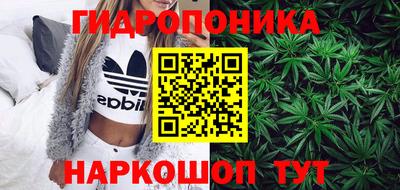apvp Новозыбков