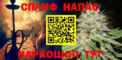 ешки Новодвинск