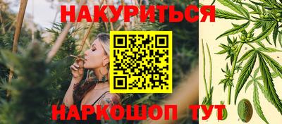 ешки Новодвинск