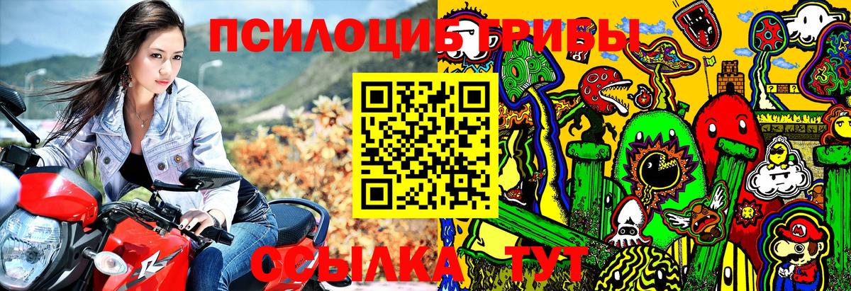 Псилоцибиновые грибы Cubensis  Вход с VPN  Татарск  Галлюциногенные грибы прущие грибы 